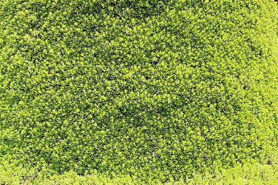 《EA Sports FC 24》：4090可流畅8K＆60FPS游玩