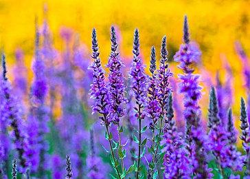 横版动作新游《罪恶传奇》3＆30发行 试玩已推出